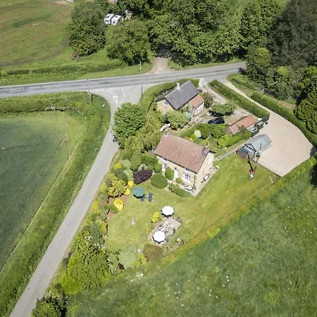 Virginia 4 *